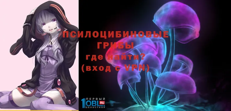 где можно купить наркотик  Полтавская  MEGA как зайти  Галлюциногенные грибы MAGIC MUSHROOMS 